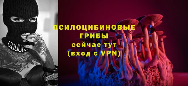 прущий лед Корсаков