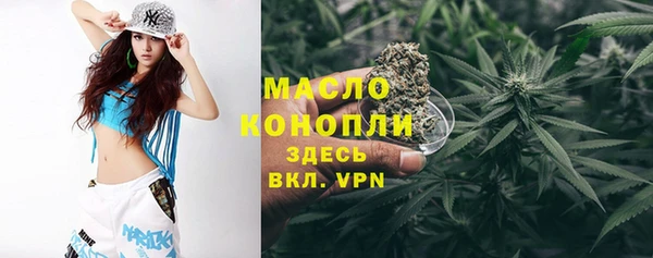 индика Переславль-Залесский