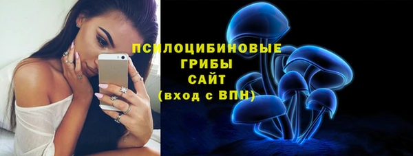 прущие крисы Алексин