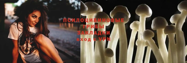 эйфоретик Коряжма