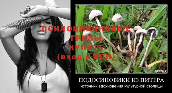 прущие крисы Алексин