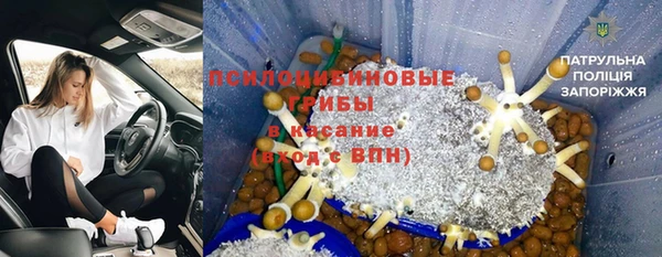 прущие крисы Алексин
