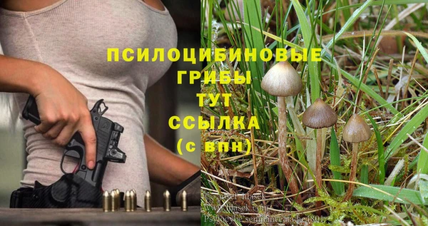 прущие крисы Алексин