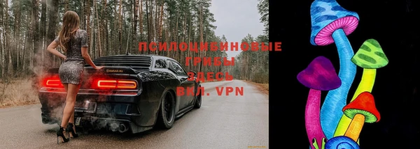 амфетамин Алексеевка