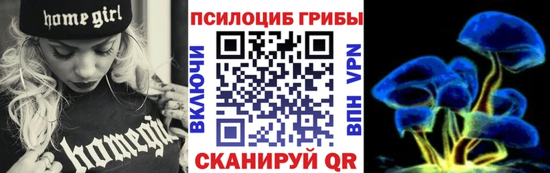 наркота  Дзержинский  Галлюциногенные грибы Cubensis 